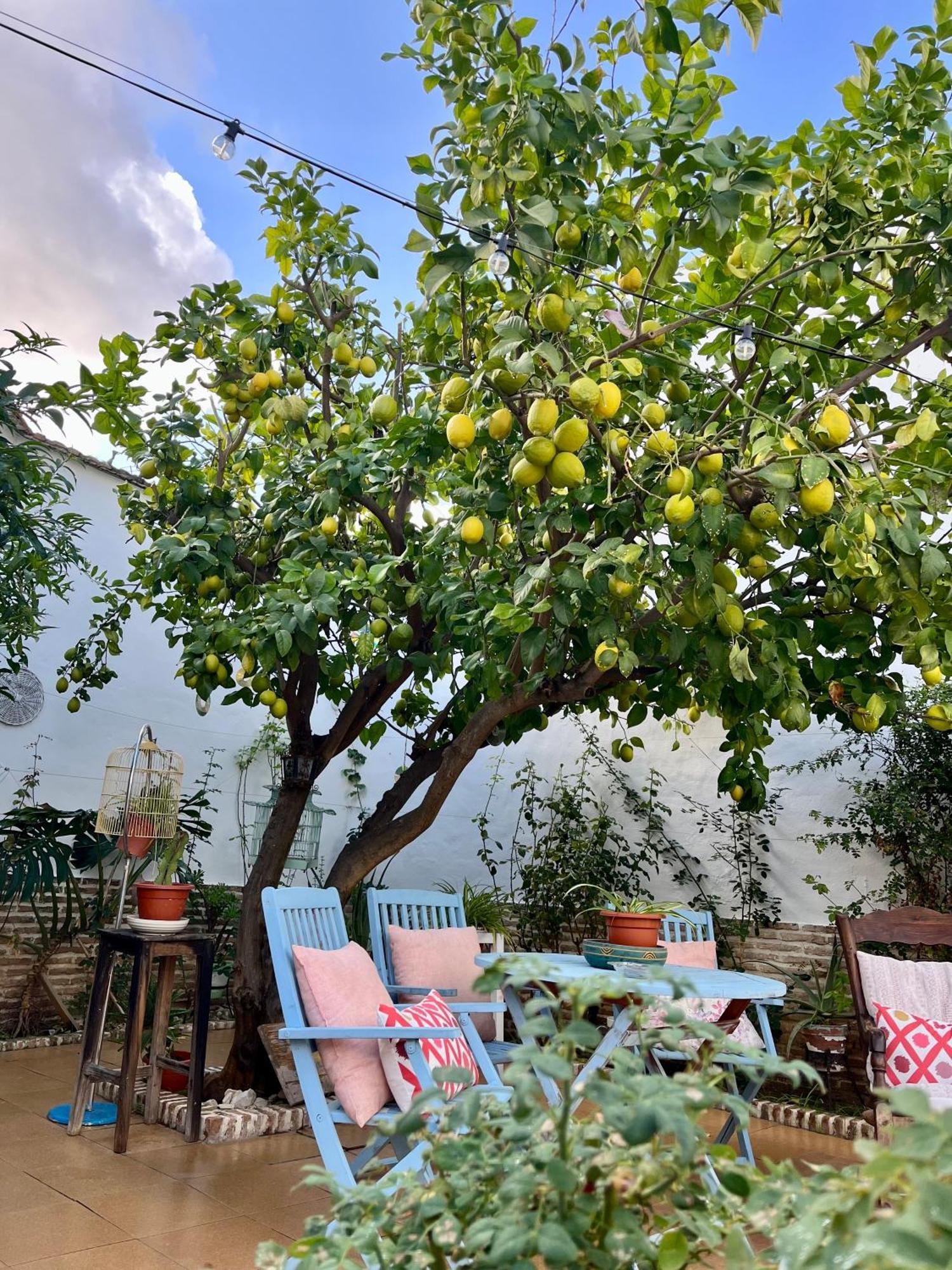 Вилла El Patio Del Limonero Эсиха Экстерьер фото